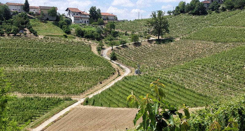 Was ist Barbaresco? Was ist Barbaresco?