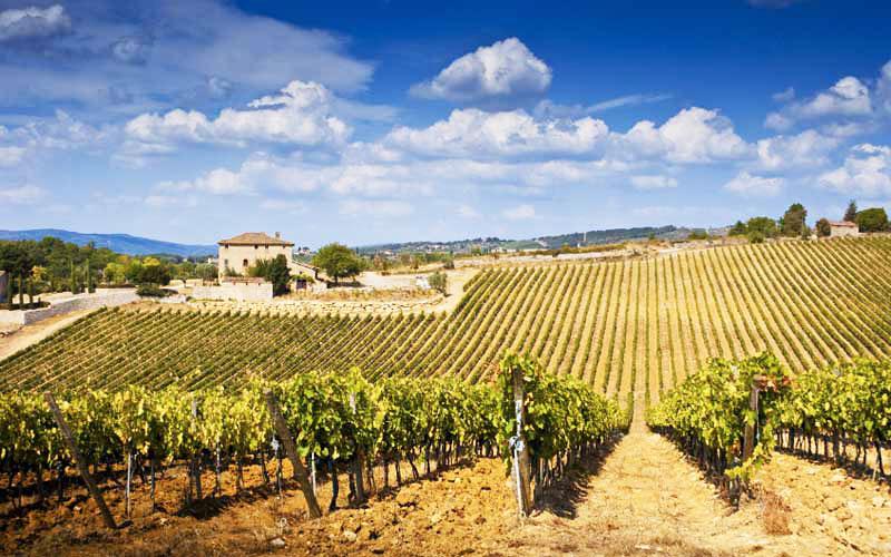 Was ist Chianti und wie schmeckt Chianti? Was ist Chianti und wie schmeckt Chianti?