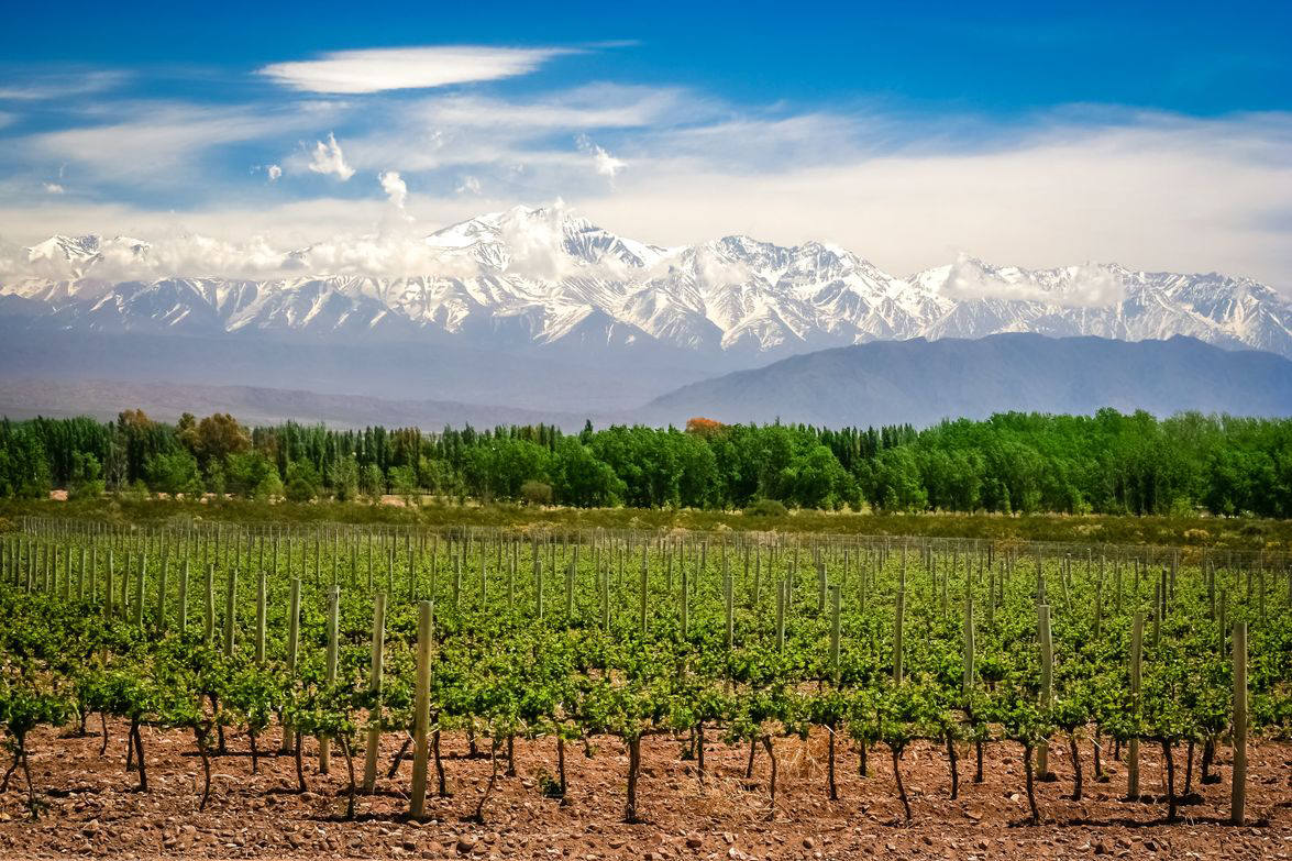 Argentinien, die besten Weine