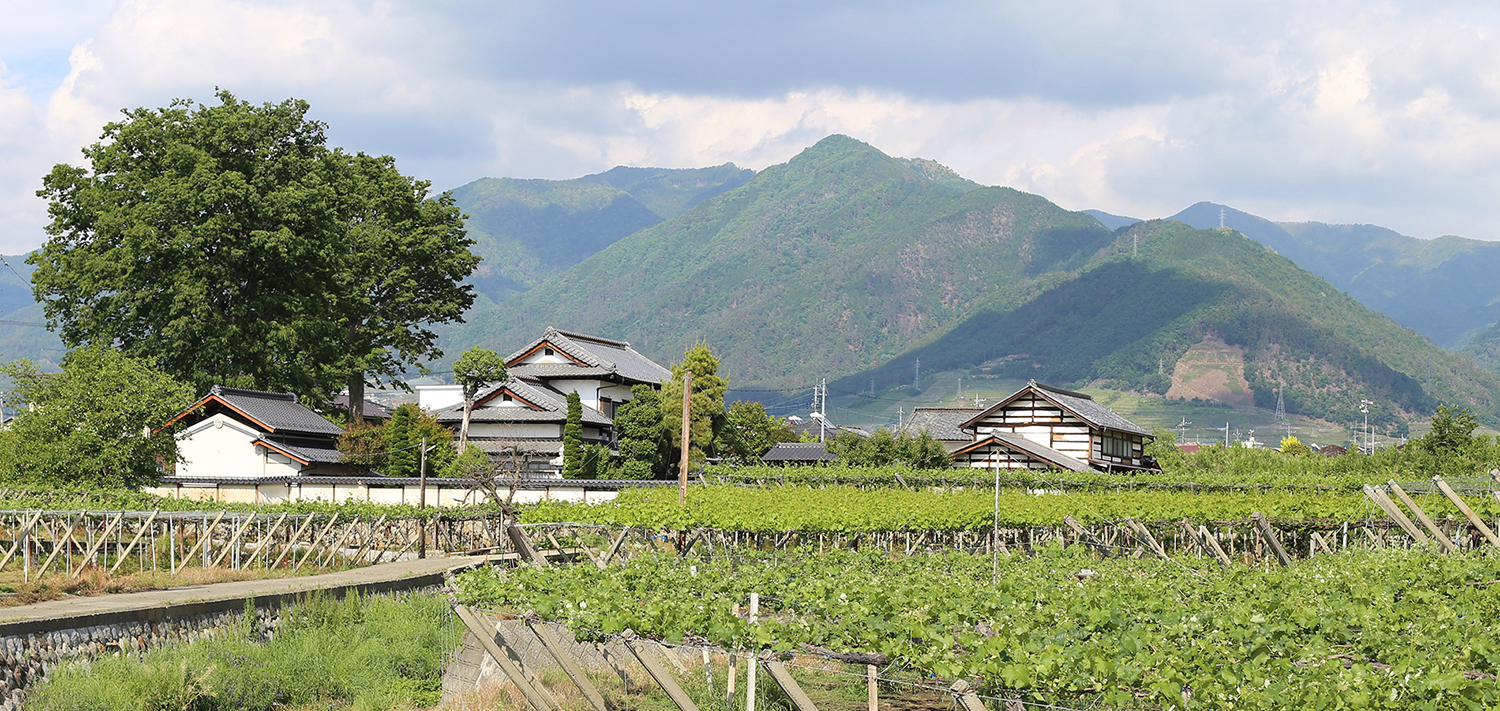 Japan, die besten Weine