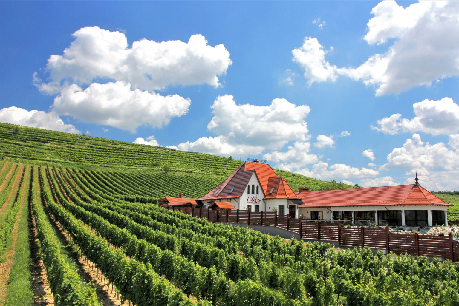 Ukraine, die besten Weine