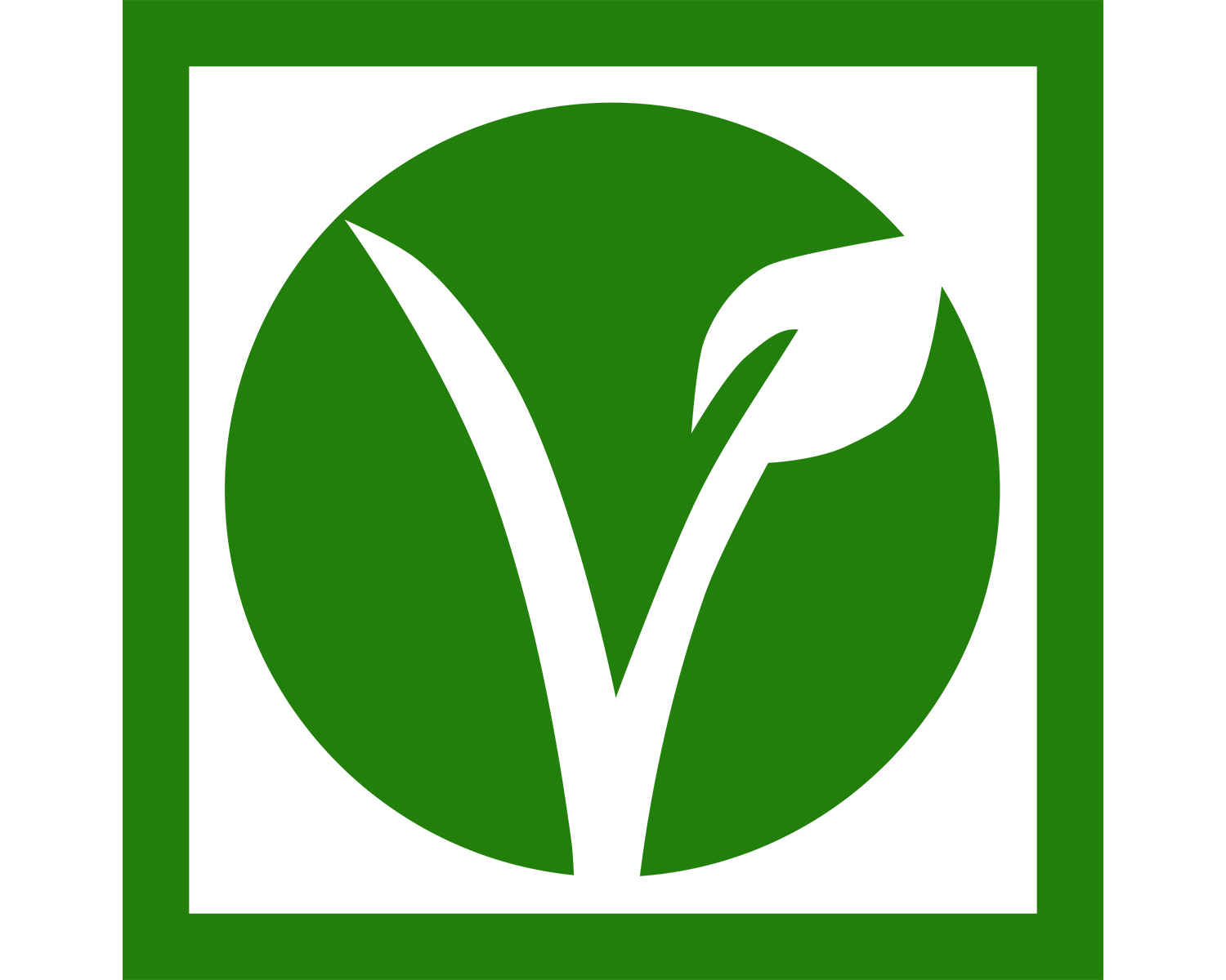Vegan, die besten Weine
