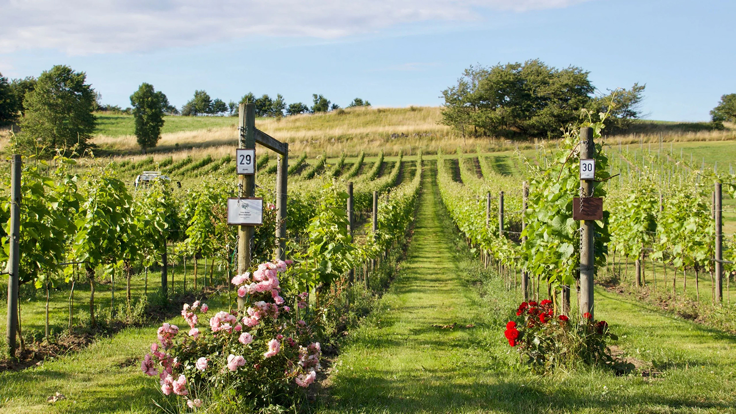 Schweden, die besten Weine