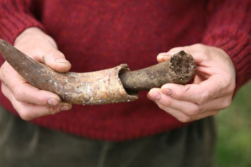 biodynamische wijn, die besten Weine