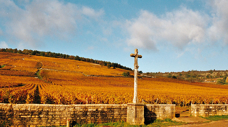 So schmecken die besten Weine aus C&ocirc;te de Beaune