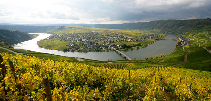 So schmecken die besten Weine aus dieMosel