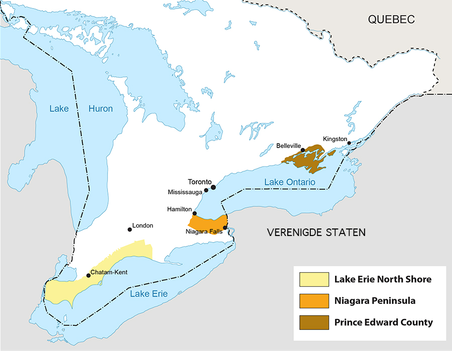 So schmecken die besten Weine aus Ontario
