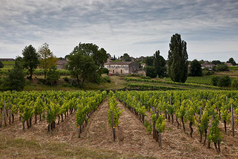 So schmecken die besten Weine aus Pomerol