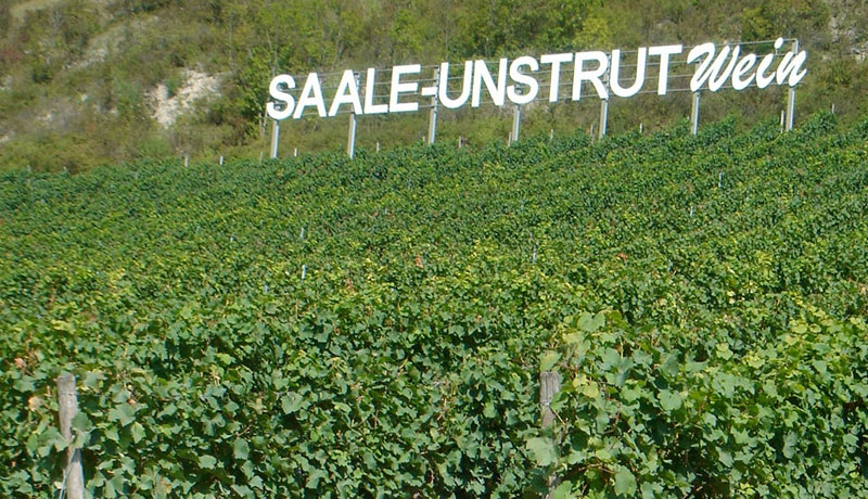 So schmecken die besten Weine aus Saale-Unstrut