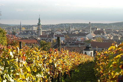 So schmecken die besten Weine aus Sopron