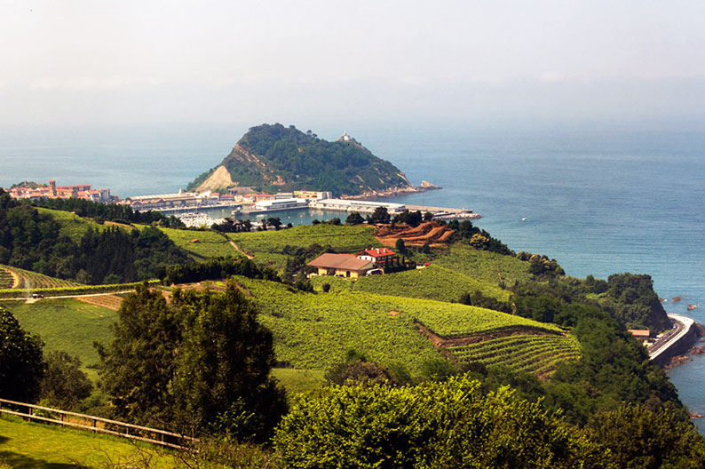 So schmecken die besten Weine aus Baskenland