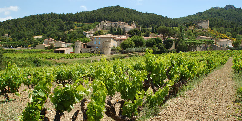 So schmecken die besten Weine aus Beaujolais