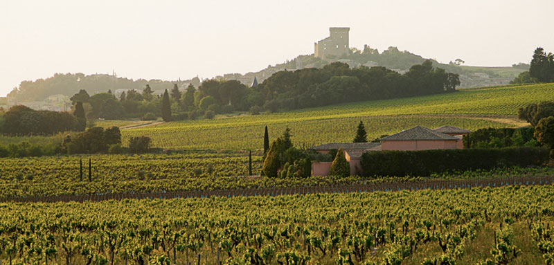 So schmecken die besten Weine aus Ch&acirc;teauneuf-du-Pape