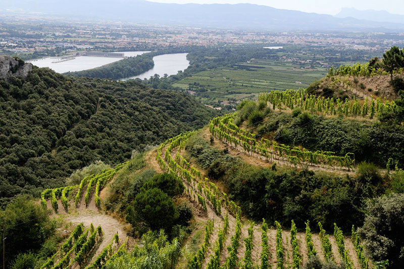 So schmecken die besten Weine aus C&ocirc;te R&ocirc;tie