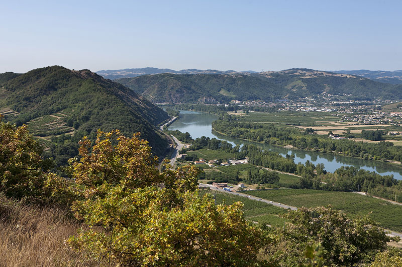 So schmecken die besten Weine aus Crozes Hermitage