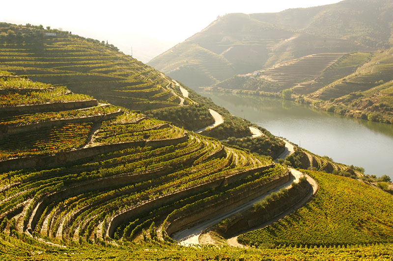 So schmecken die besten Weine aus Douro