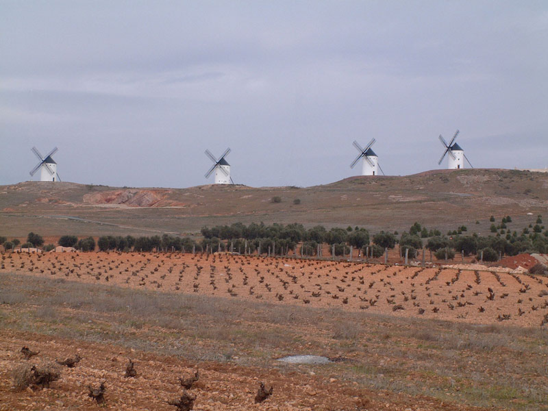 So schmecken die besten Weine aus La Mancha