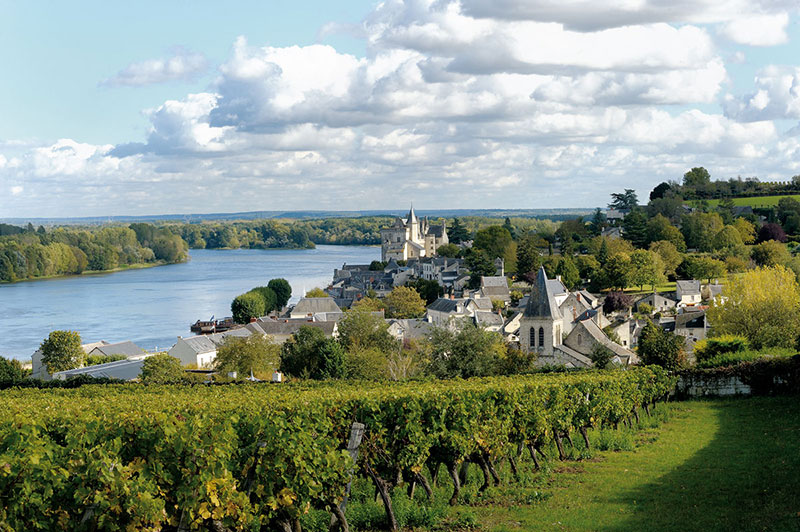 So schmecken die besten Weine aus Loire