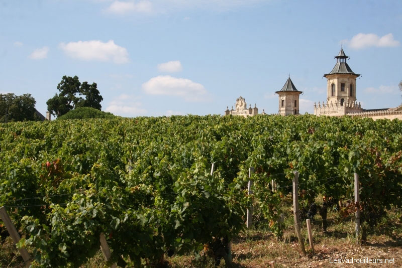 So schmecken die besten Weine aus dasM&eacute;doc