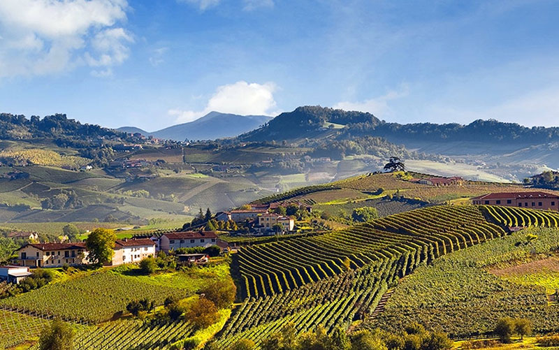 So schmecken die besten Weine aus Monferrato