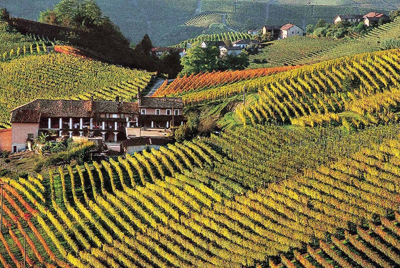 So schmecken die besten Weine aus dasPiemont