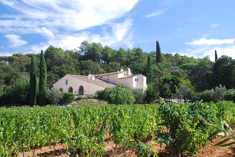 So schmecken die besten Weine aus Provence