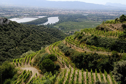 Alle Informationen zu den Weinen von Les Vins de Vienne