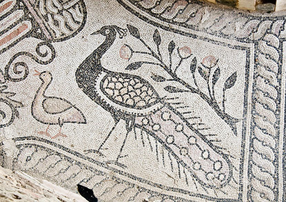 Alle Informationen zu den Weinen von Stobi