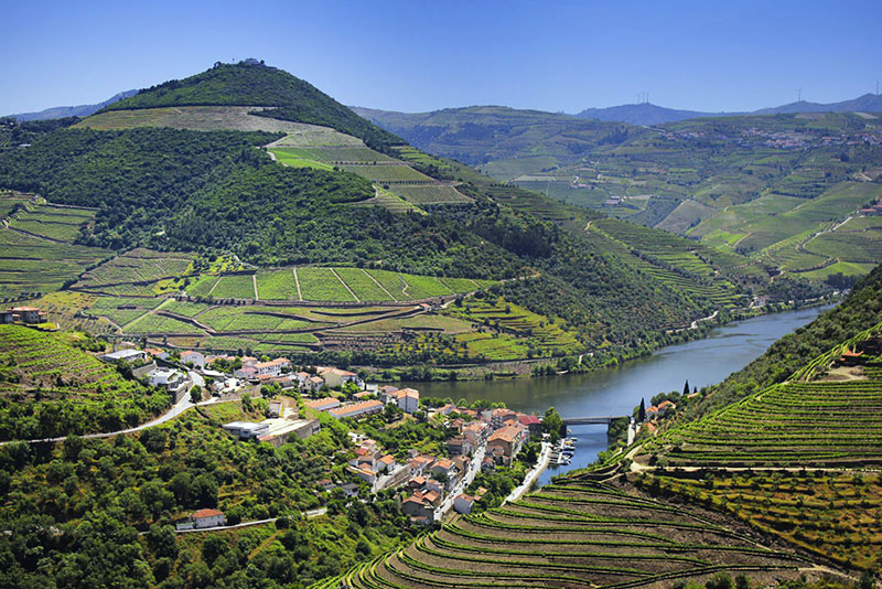 So schmecken die besten Weine aus Tr&aacute;s-Os-Montes