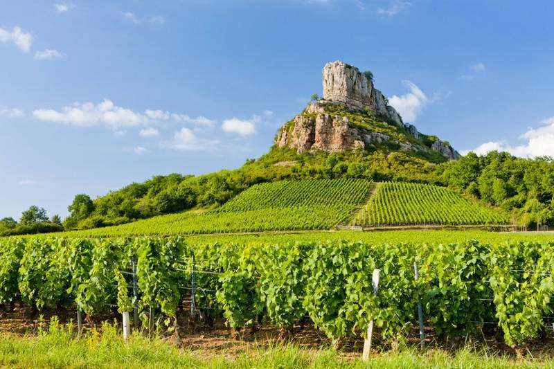 So schmecken die besten Weine aus Burgund