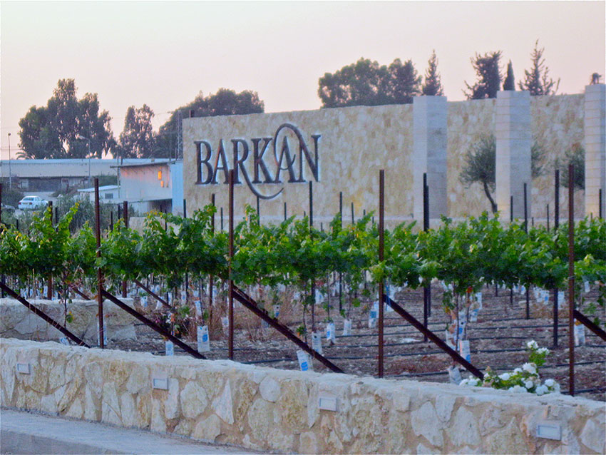 Alle Informationen zu den Weinen von Barkan Winery