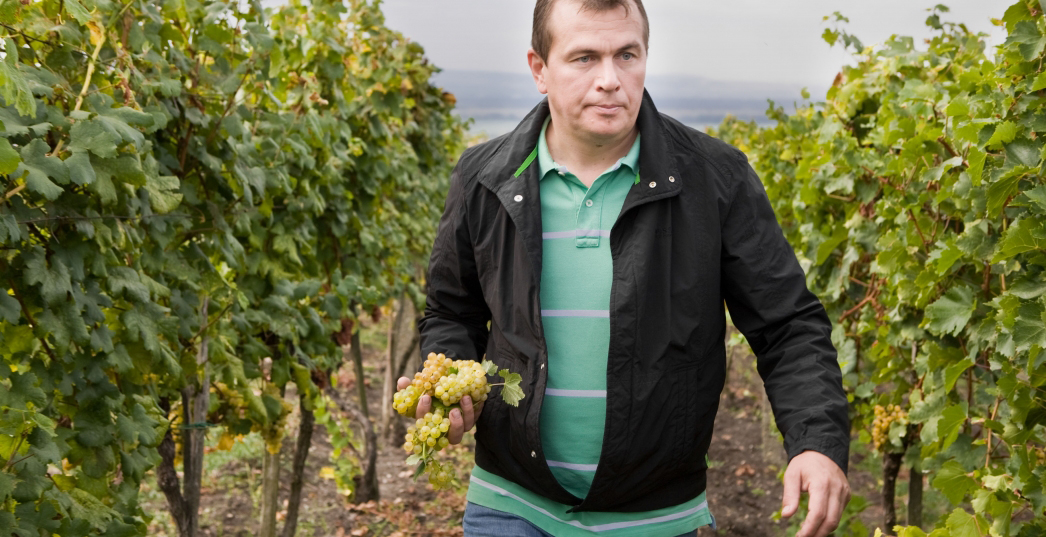 Alle Informationen zu den Weinen von Bott Frigyes
