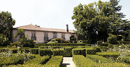 Alle Informationen zu den Weinen von Casa de Vilacetinho