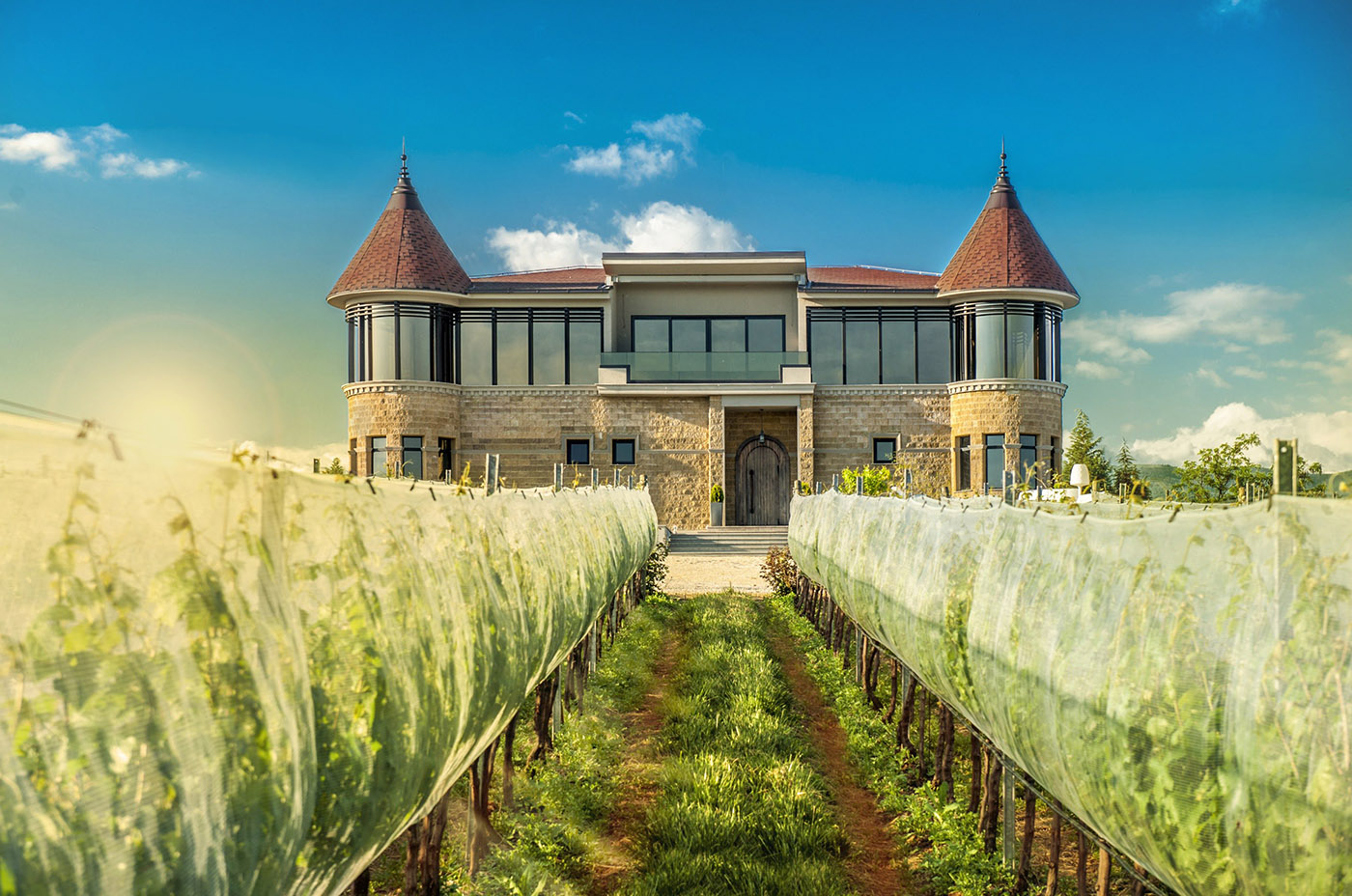 Alle Informationen zu den Weinen von Chateau Kamnik