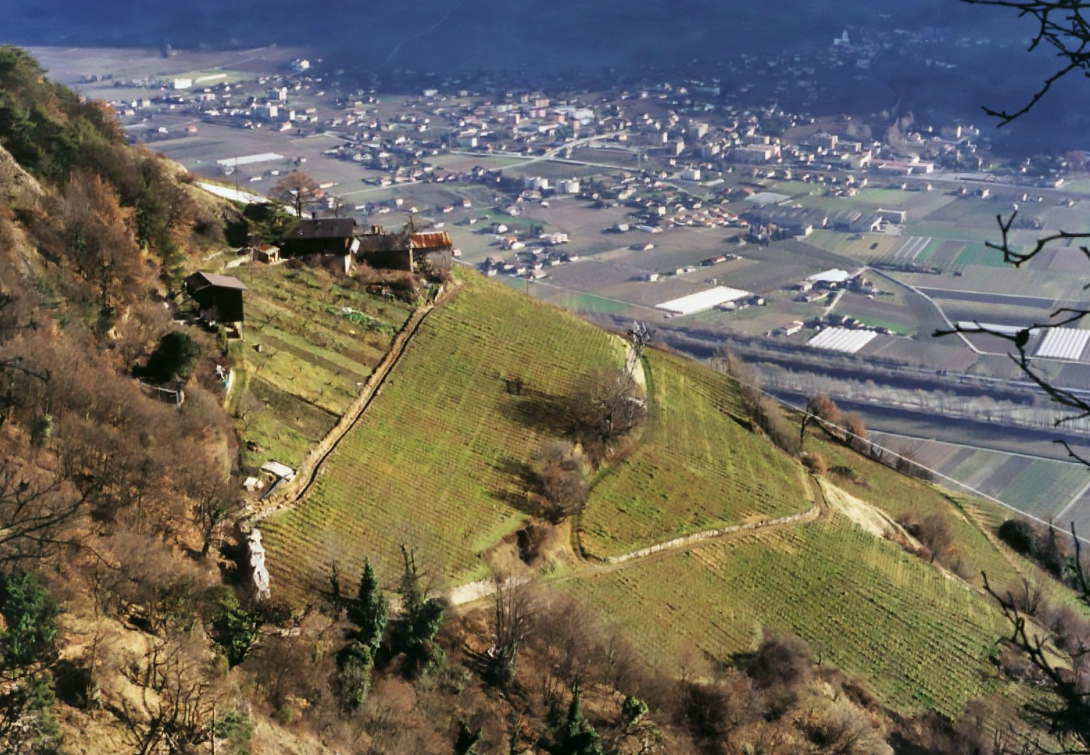 Alle Informationen zu den Weinen von Domaine de Beudon