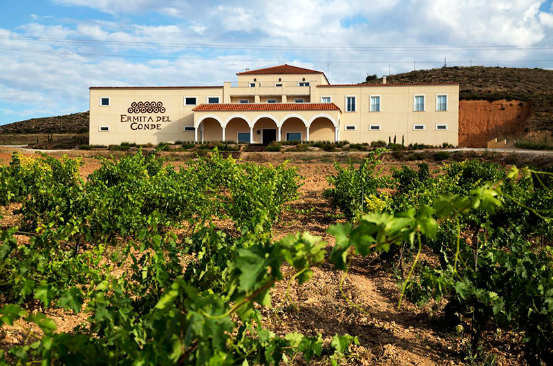 Alle Informationen zu den Weinen von Ermita del Conde