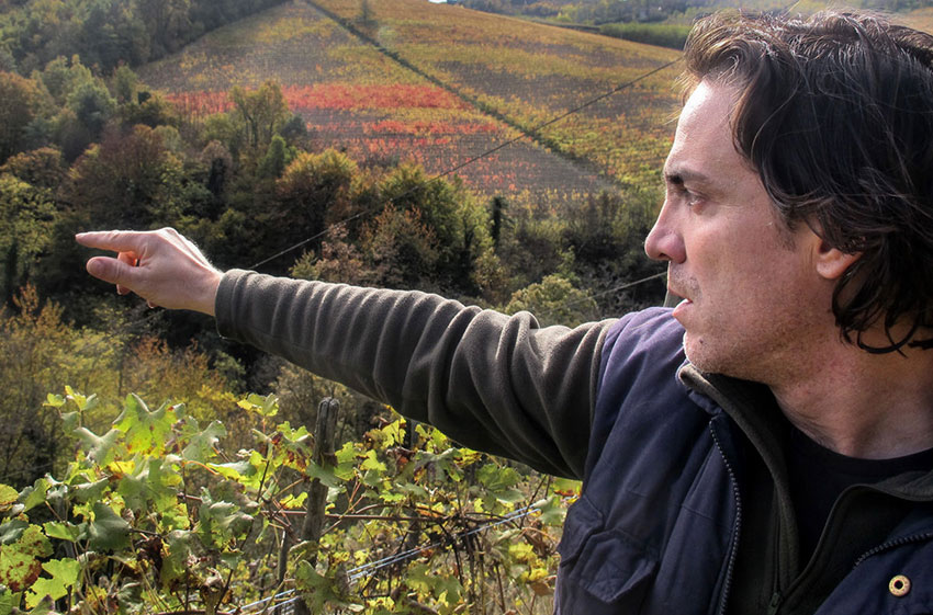 Alle Informationen zu den Weinen von Ferdinando Principiano