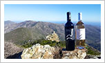 Alle Informationen zu den Weinen von Groupe UVAL Corsican