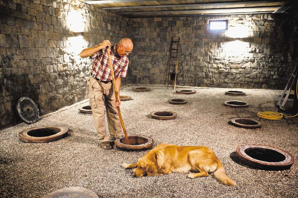 Alle Informationen zu den Weinen von Josko Gravner