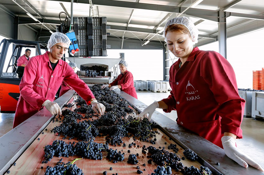 Alle Informationen zu den Weinen von Karas Wines