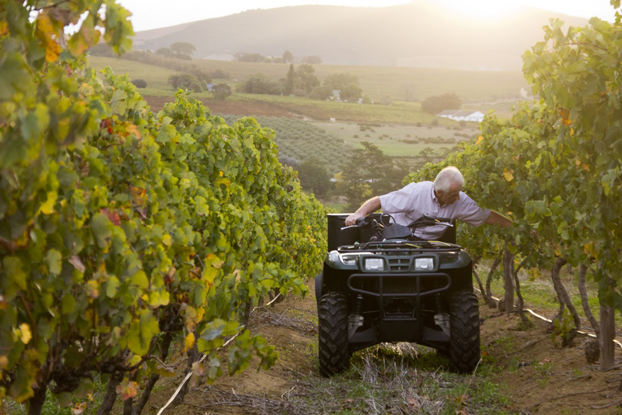Alle Informationen zu den Weinen von Kyburg Boutique Wines