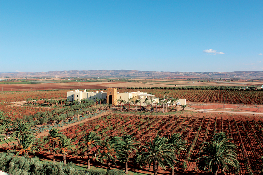 Alle Informationen zu den Weinen von Les Celliers de Meknes