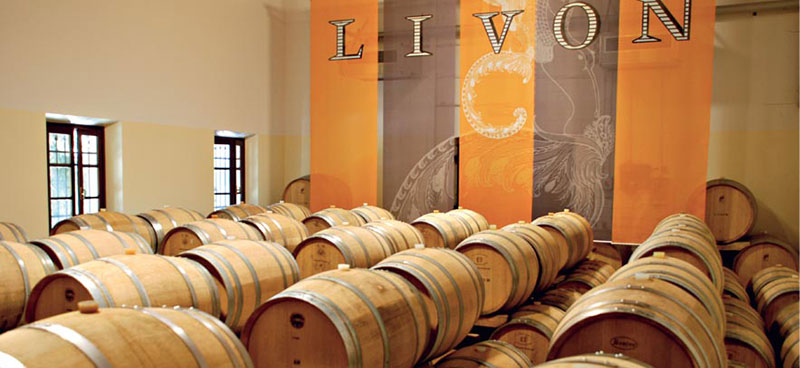 Alle Informationen zu den Weinen von Livon
