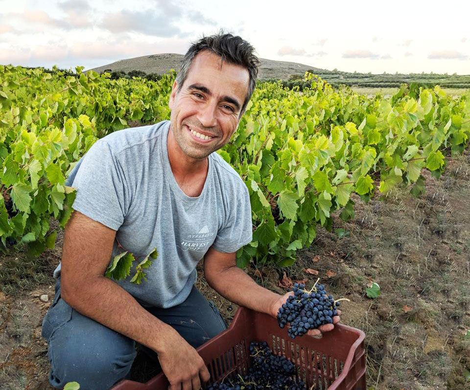 Alle Informationen zu den Weinen von Lyrarakis