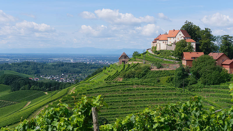 Alle Informationen zu den Weinen von Weingut Markgraf von Baden