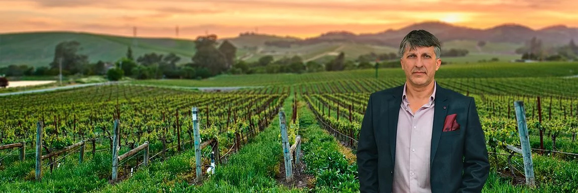 Alle Informationen zu den Weinen von Paangold