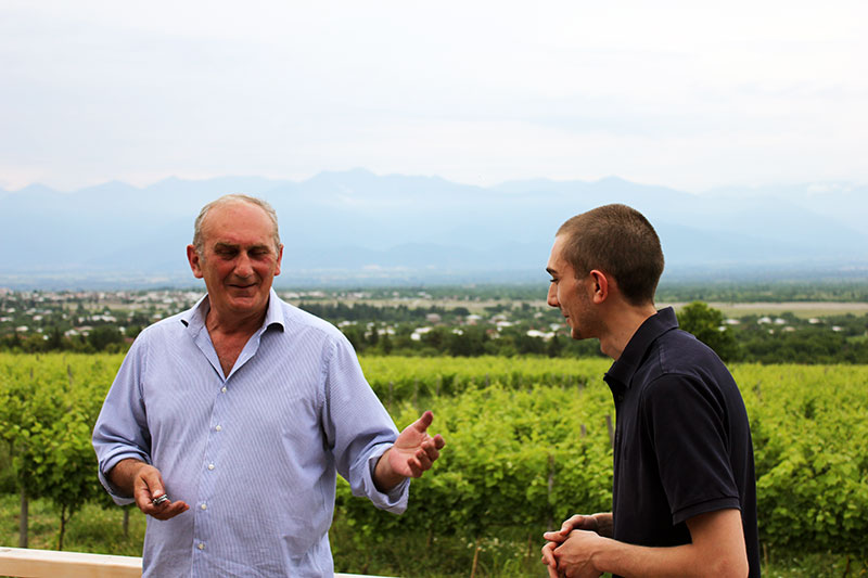 Alle Informationen zu den Weinen von Papari Valley