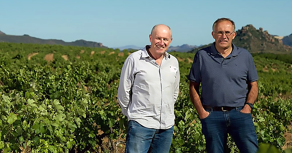 Alle Informationen zu den Weinen von Piekenierskloof Wine Company