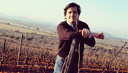 Alle Informationen zu den Weinen von Vinhos do Vale do Douro
