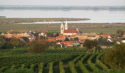 Alle Informationen zu den Weinen von Weingut Landauer